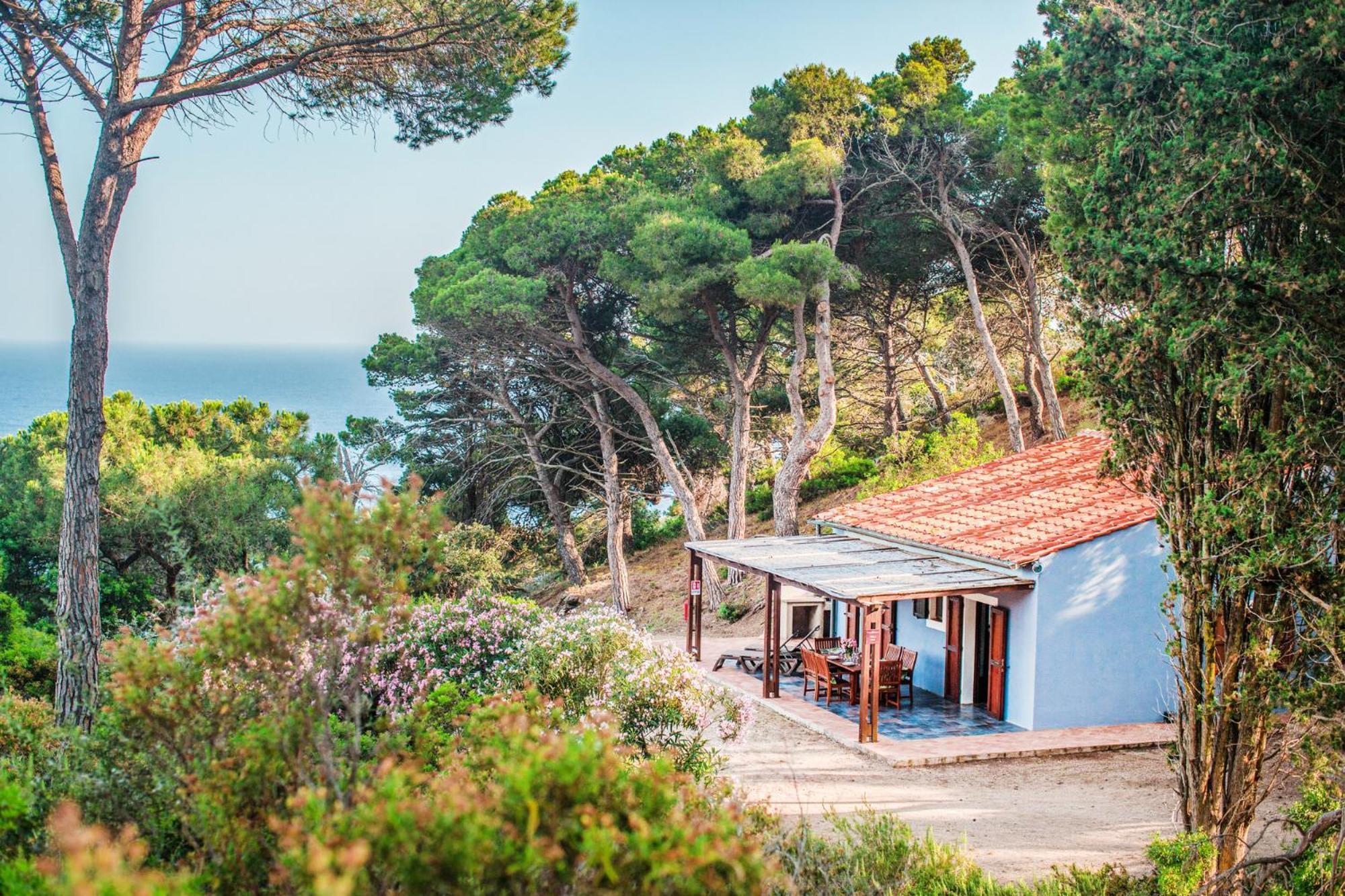 Tenuta Delle Ripalte Capoliveri  Εξωτερικό φωτογραφία