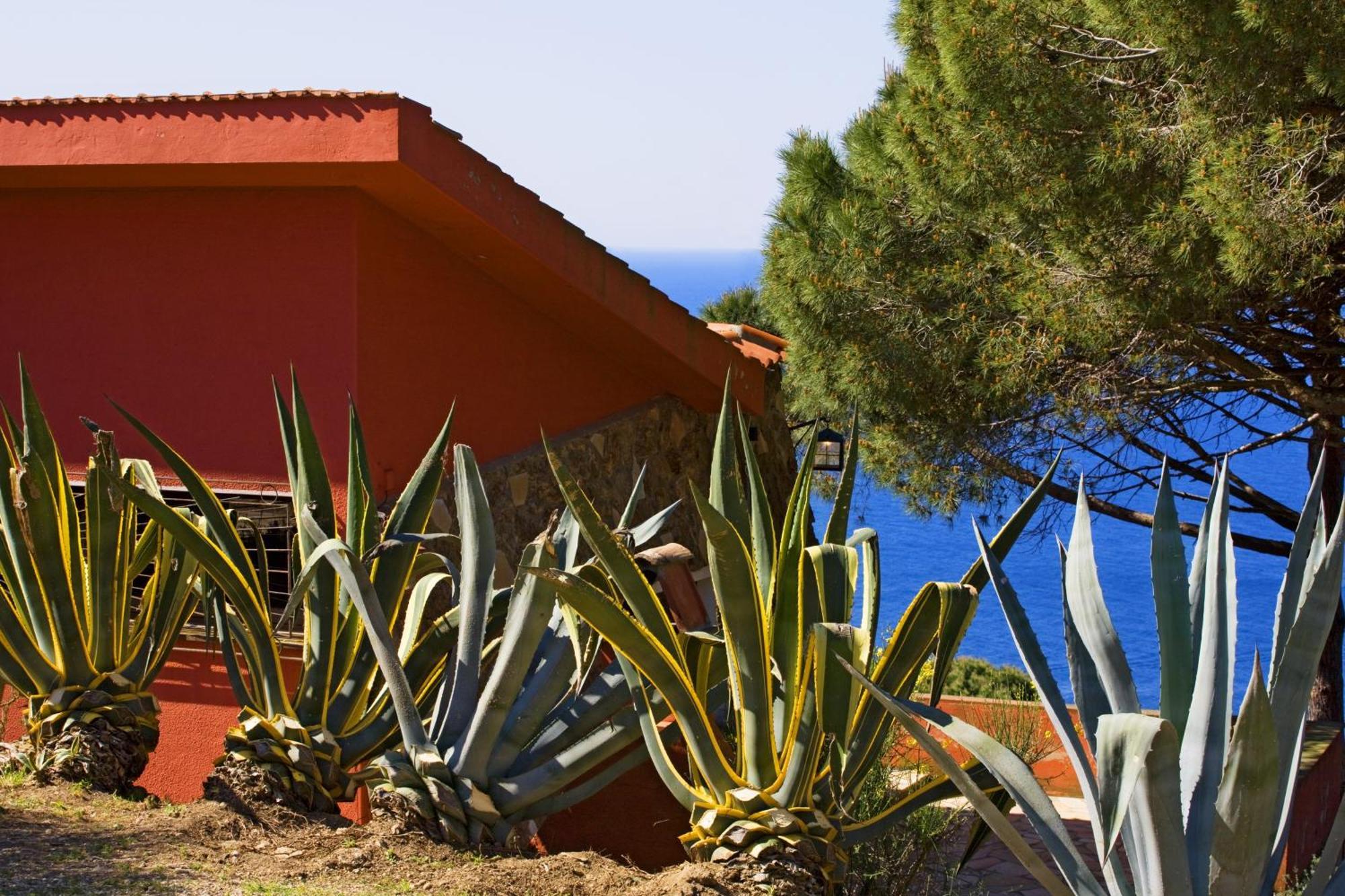 Tenuta Delle Ripalte Capoliveri  Δωμάτιο φωτογραφία