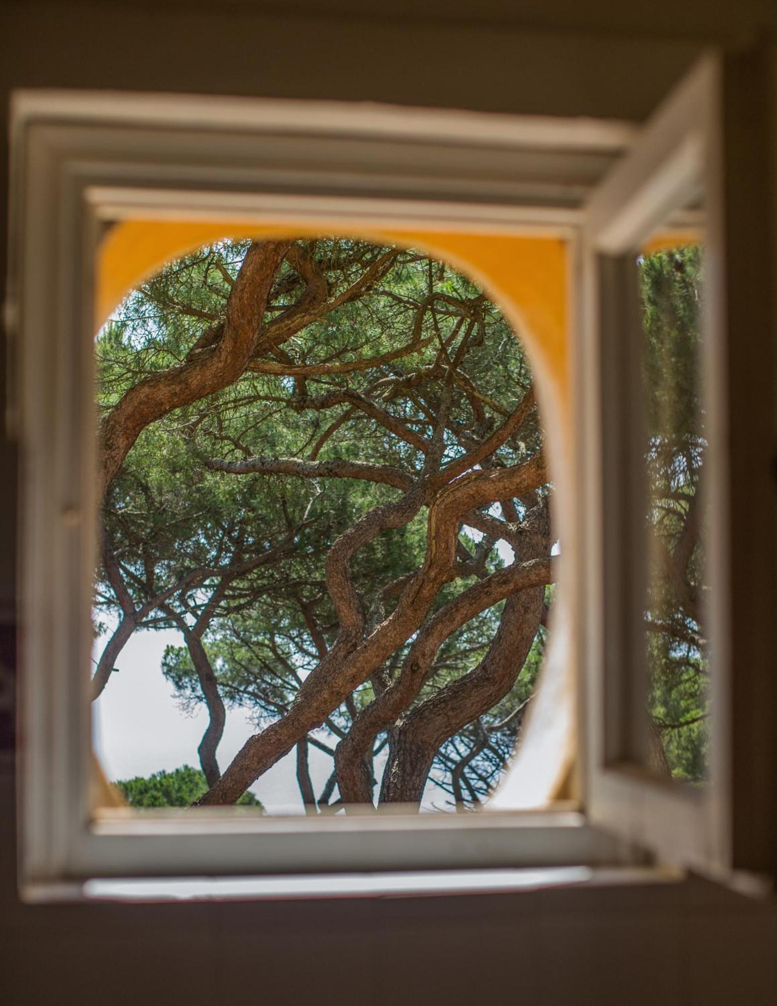 Tenuta Delle Ripalte Capoliveri  Εξωτερικό φωτογραφία